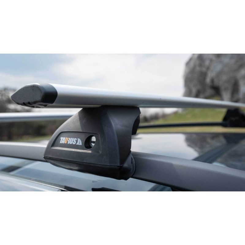 Taurus CarryUp Aero 135cm belki aluminiowe ⬅️ sklep DOAN