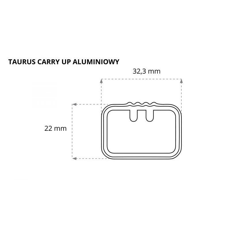 Taurus CarryUp Cube bagażnik ⬅️ sklep DOAN