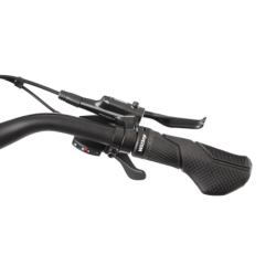 Rower elektryczny ROMET E-GAZELA 3.0 725WH M17 (2024) ⬅️ sklep DOAN