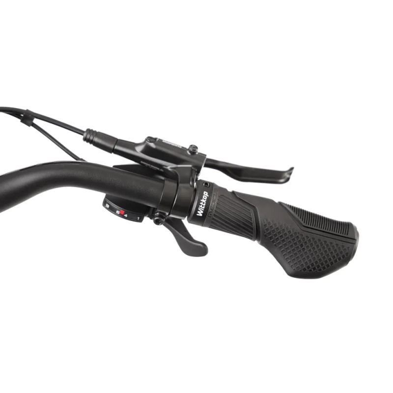 Rower elektryczny ROMET E-GAZELA 3.0 725WH M17 (2024) ⬅️ sklep DOAN