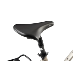 Rower elektryczny ROMET E-GAZELA 2.0 504WH M17 (2024) ⬅️ sklep DOAN