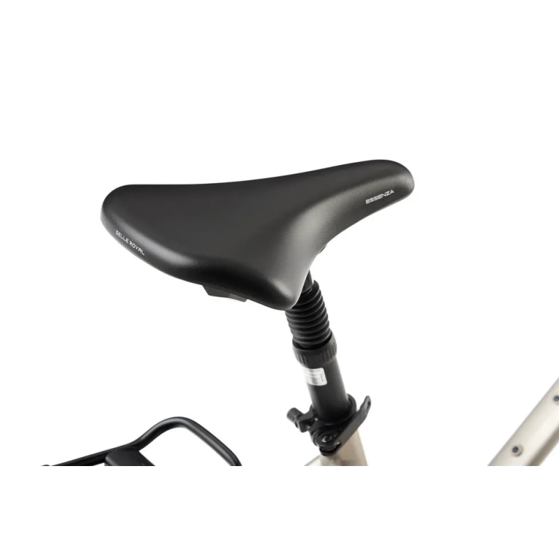 Rower elektryczny ROMET E-GAZELA 2.0 504WH M17 (2024) ⬅️ sklep DOAN