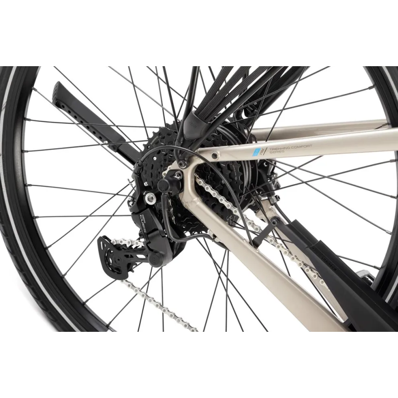 Rower elektryczny ROMET E-GAZELA 2.0 504WH M17 (2024) ⬅️ sklep DOAN