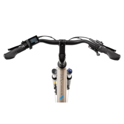 Rower elektryczny ROMET E-GAZELA 2.0 504WH M17 (2024) ⬅️ sklep DOAN