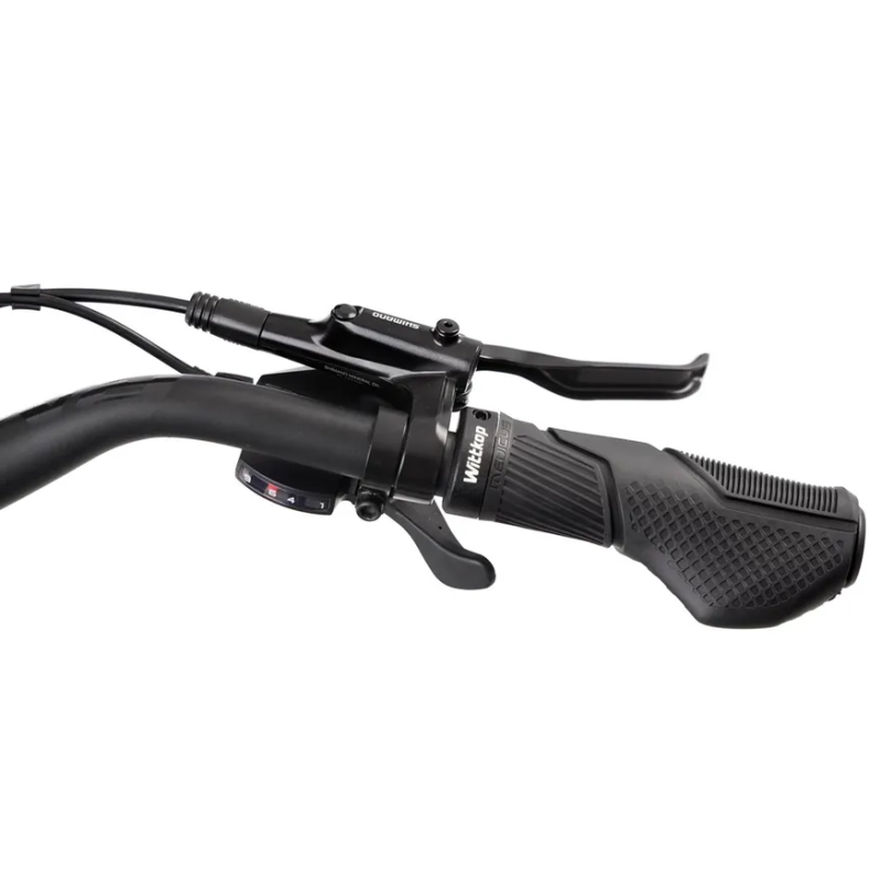 Rower elektryczny ROMET E-WAGANT 3.0 725WH M18 (2024) ⬅️ sklep DOAN