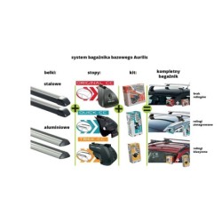 Aurilis Original zestaw dopasowujący Kit 250 ⬅️ sklep DOAN